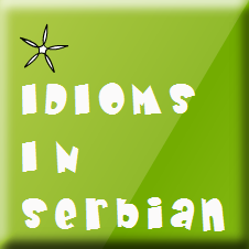 Serbian Idioms and Phrases with Verb "nositi" - Part 1