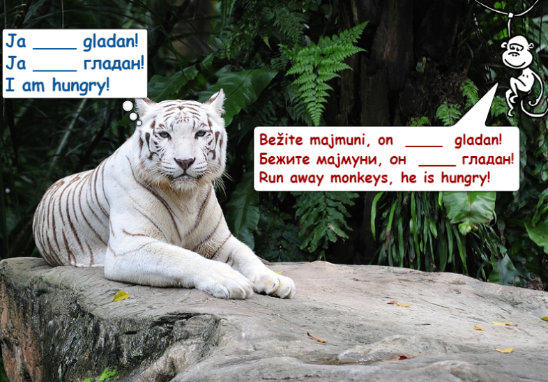 Adjectives in Serbian - Part 6