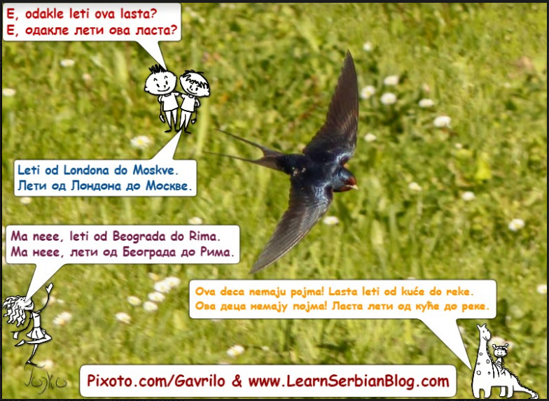 Photo Serbian - From To Genitive 4
