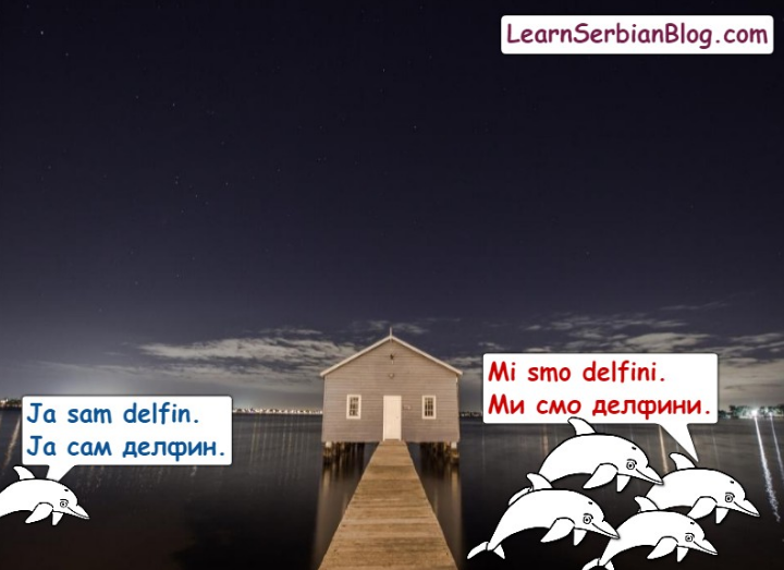 Plural Nouns in Serbian - Delfin
